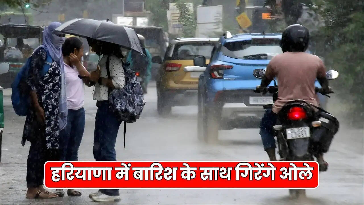 haryana weather update