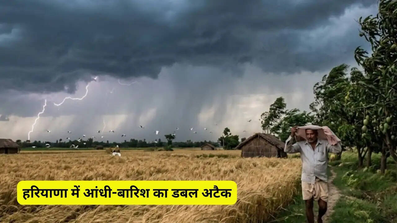 हरियाणा में आंधी-बारिश का डबल अटैक, 11 जिलों में ''ऑरेंज अलर्ट''... 60 की रफ्तार से चलेंगी हवाएं