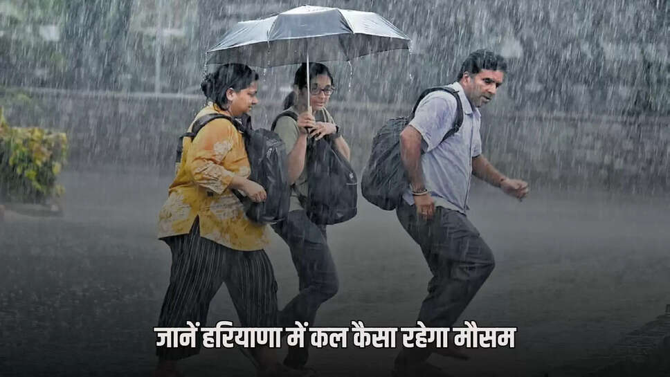 Know what will be the weather in Haryana tomorrow, it will rain in these districts
