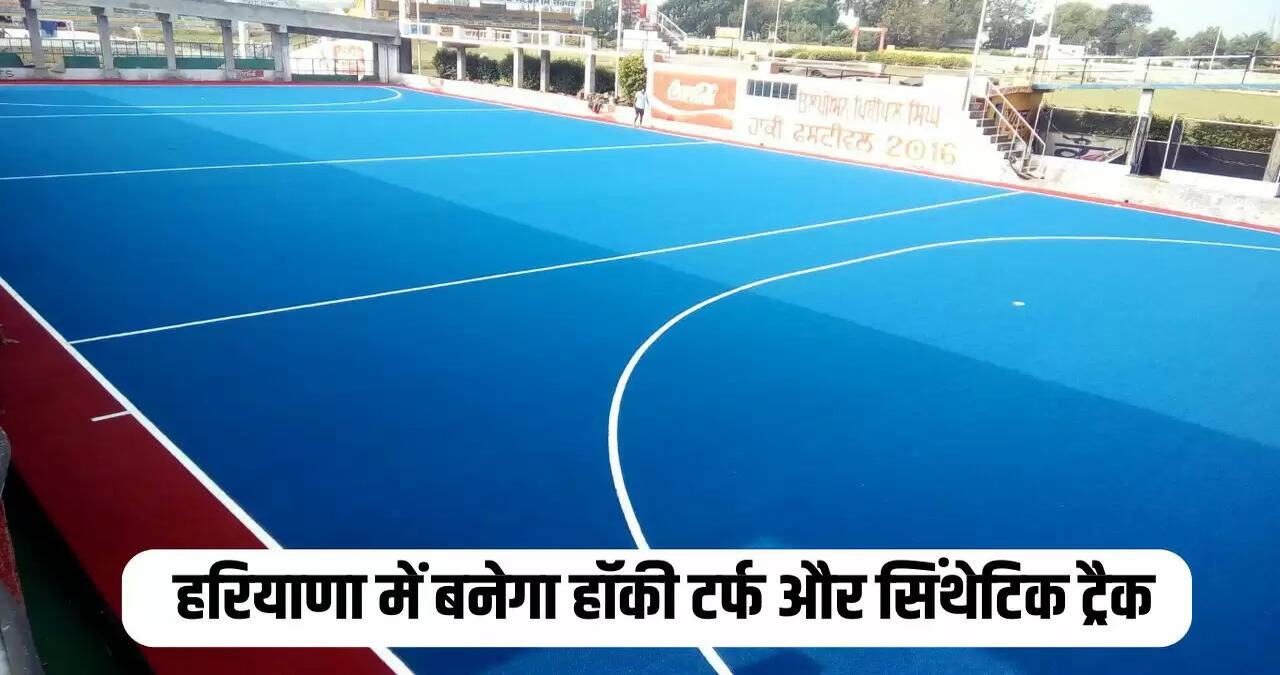 HARYANA NEWS