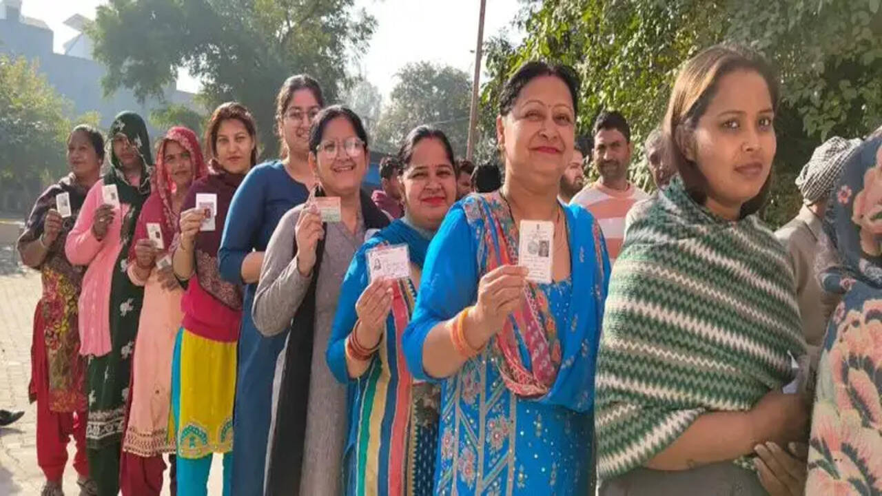 पंचायती राज संस्थाओं के रिक्त पदों के लिए हुए उप-चुनाव शांतिपूर्ण संपन्न