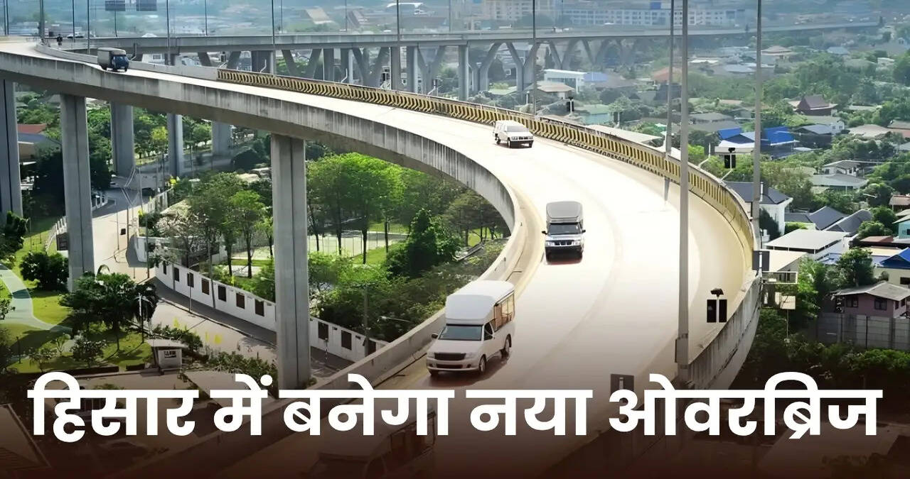 Haryana News 