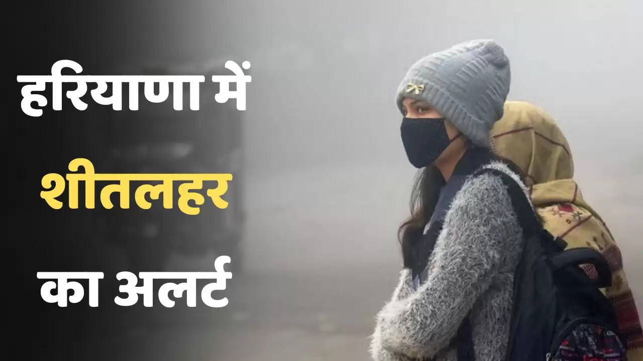 Haryana Weather: हरियाणा में शीतलहर का अलर्ट, देखें आज की मौसम रिपोर्ट&nbsp;