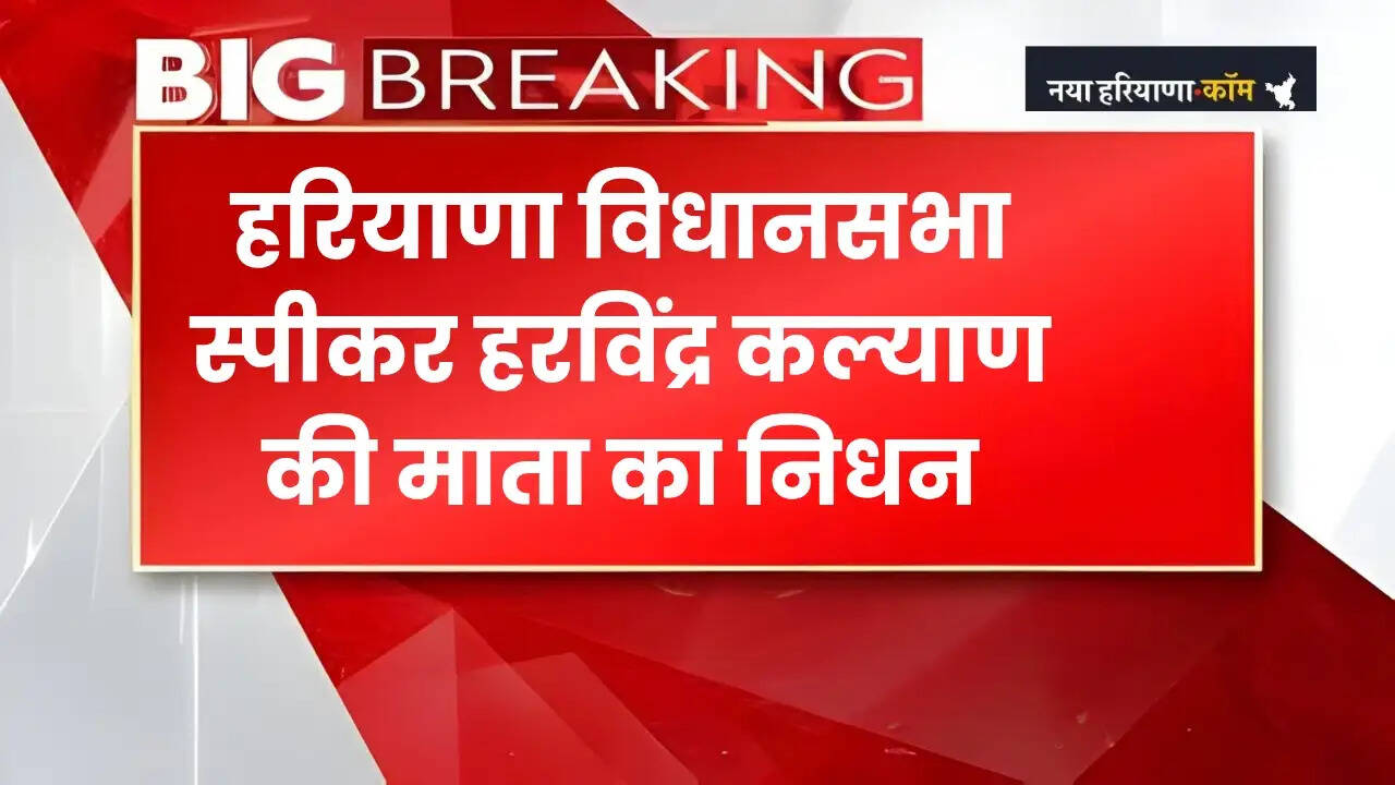 Haryana News 
