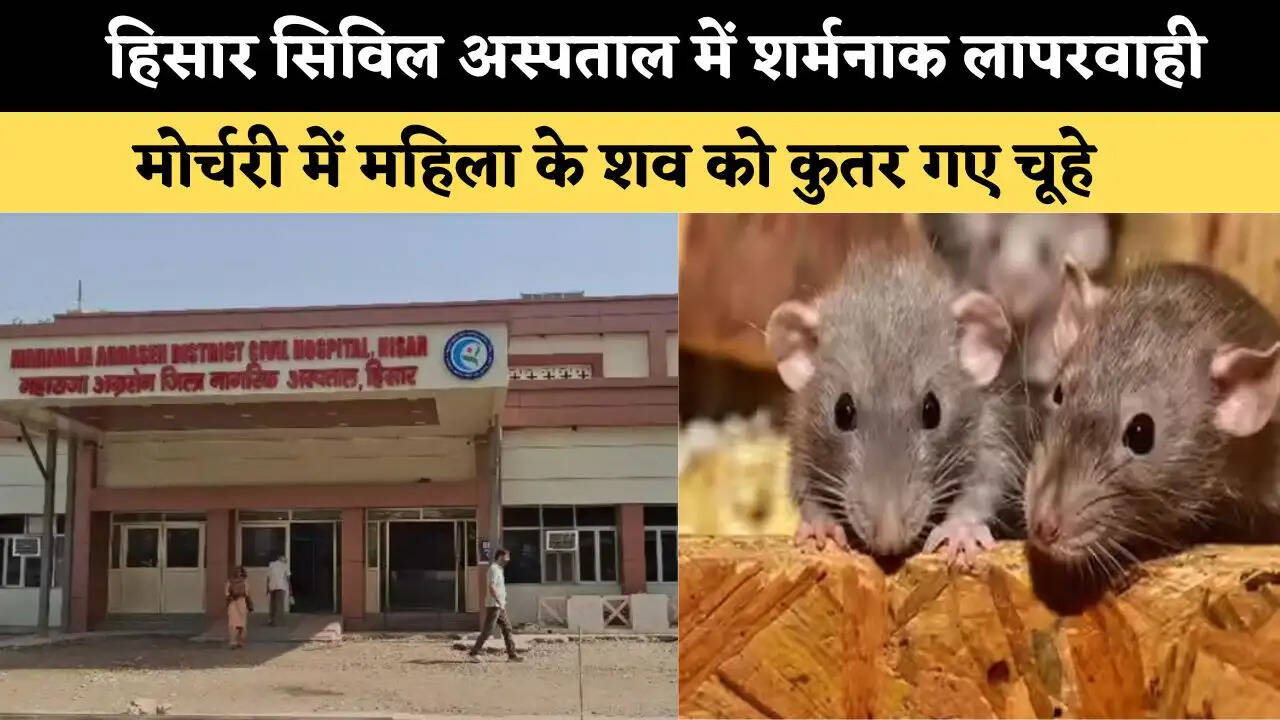 हिसार सिविल अस्पताल में शर्मनाक लापरवाही, मोर्चरी में महिला के शव को कुतर गए चूहे 