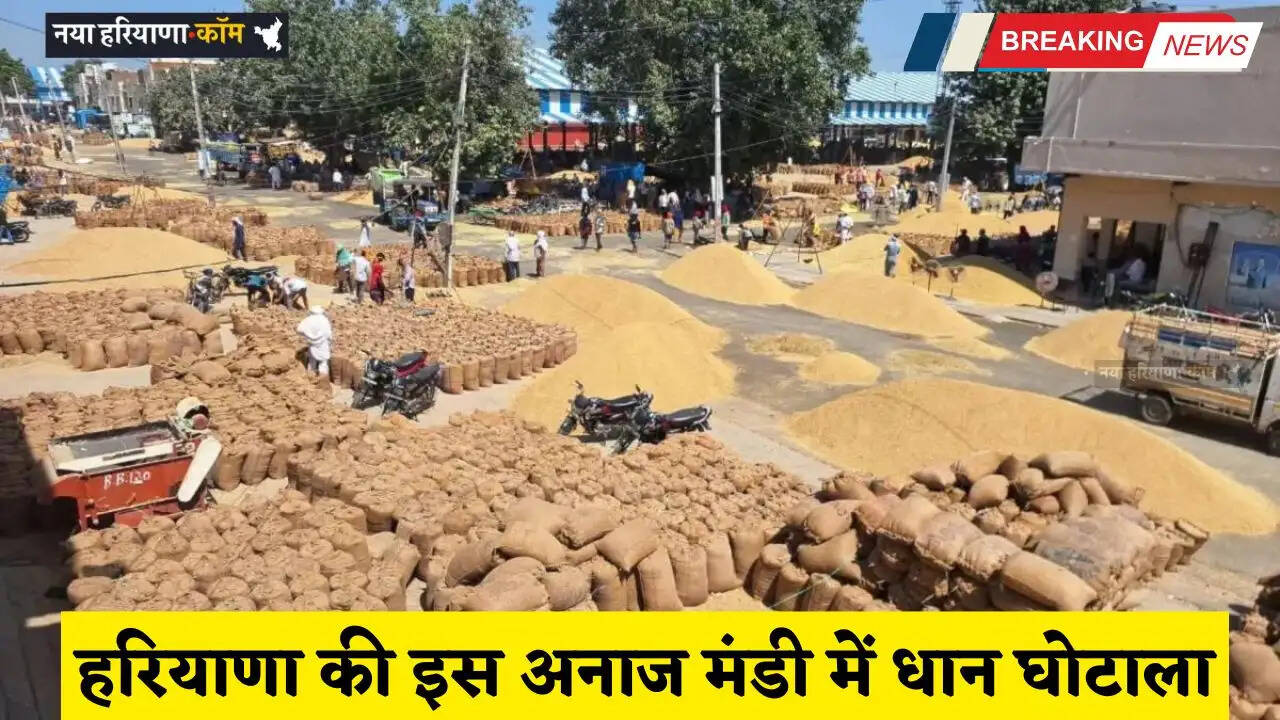Haryana: हरियाणा की इस अनाज मंडी में धान घोटाला, मिलीभगत से करोड़ों रुपये का गबन&nbsp;