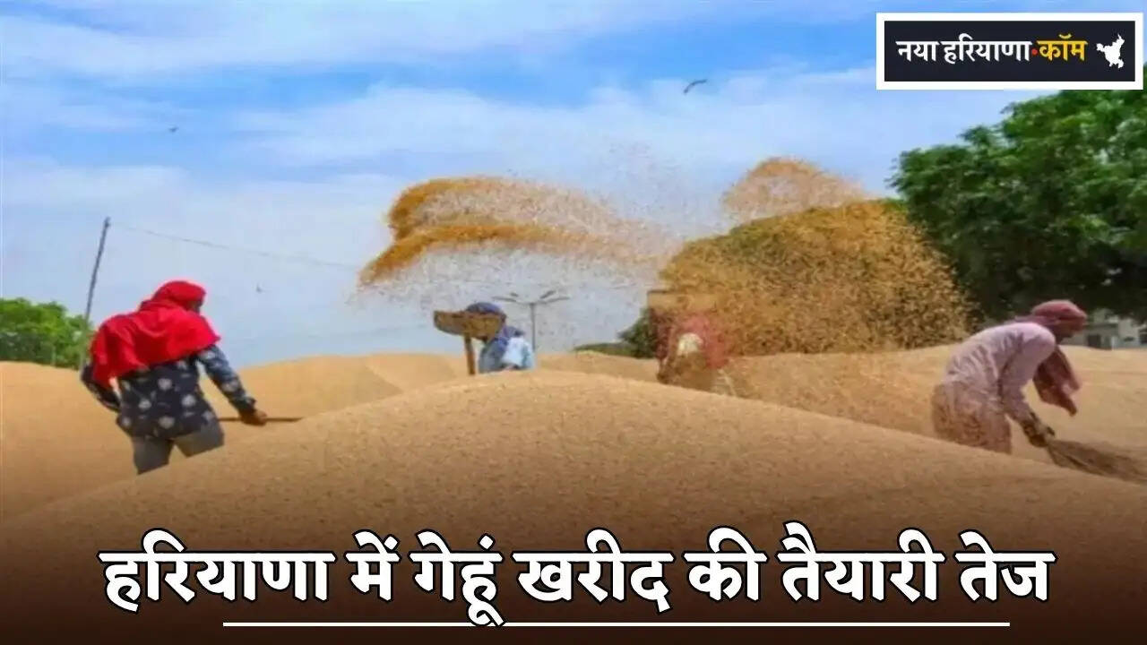 Preparations for Wheat Procurement Intensify in Haryana