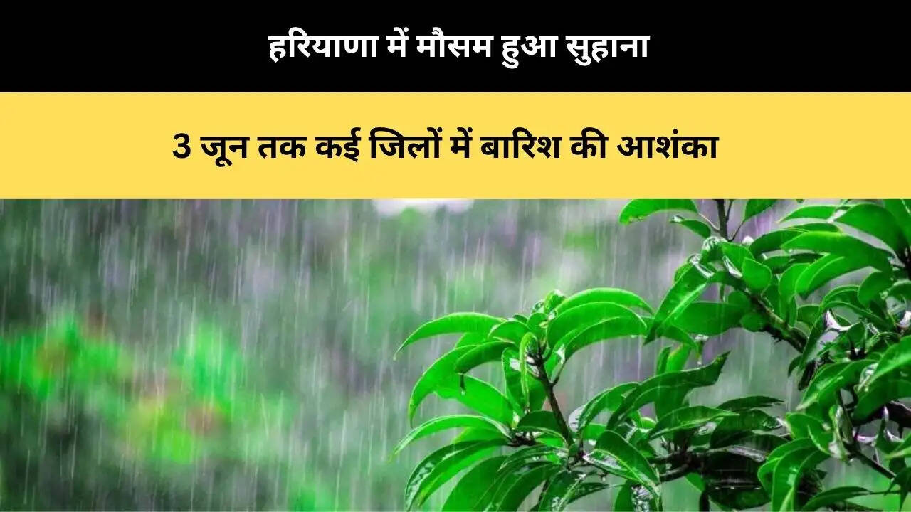 &nbsp;हरियाणा में मौसम हुआ सुहाना, 3 जून तक कई जिलों में बारिश की आशंका&nbsp;