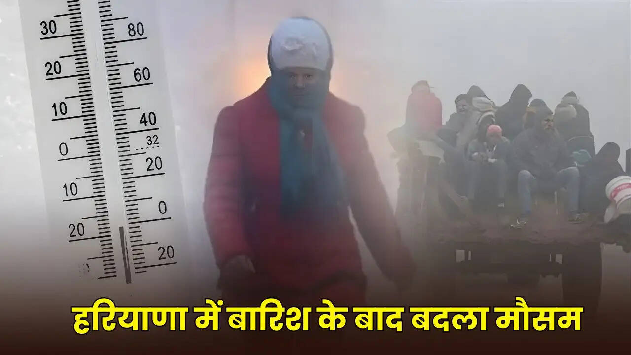 haryana weather udpate