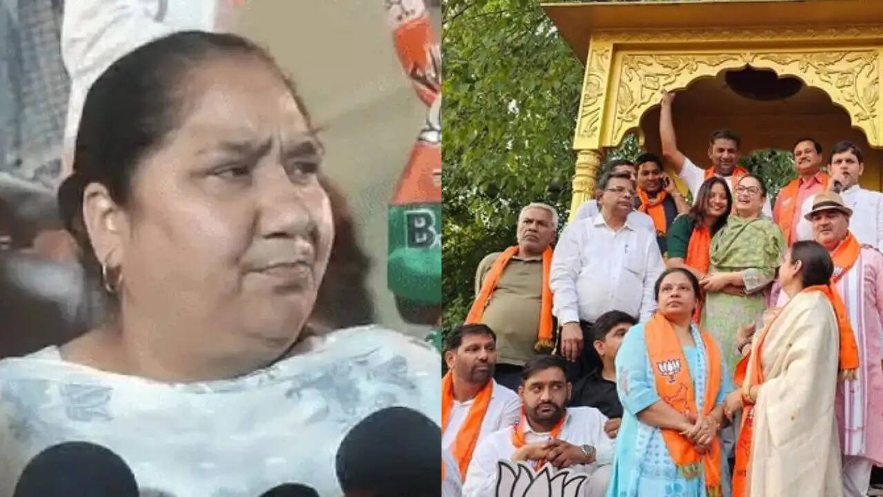 हरियाणा में BJP महिला विधायक बोलीं- वोट दो, शादी करवाऊंगी, सभा में कहा- कोई कुंवारा नहीं रहेगा