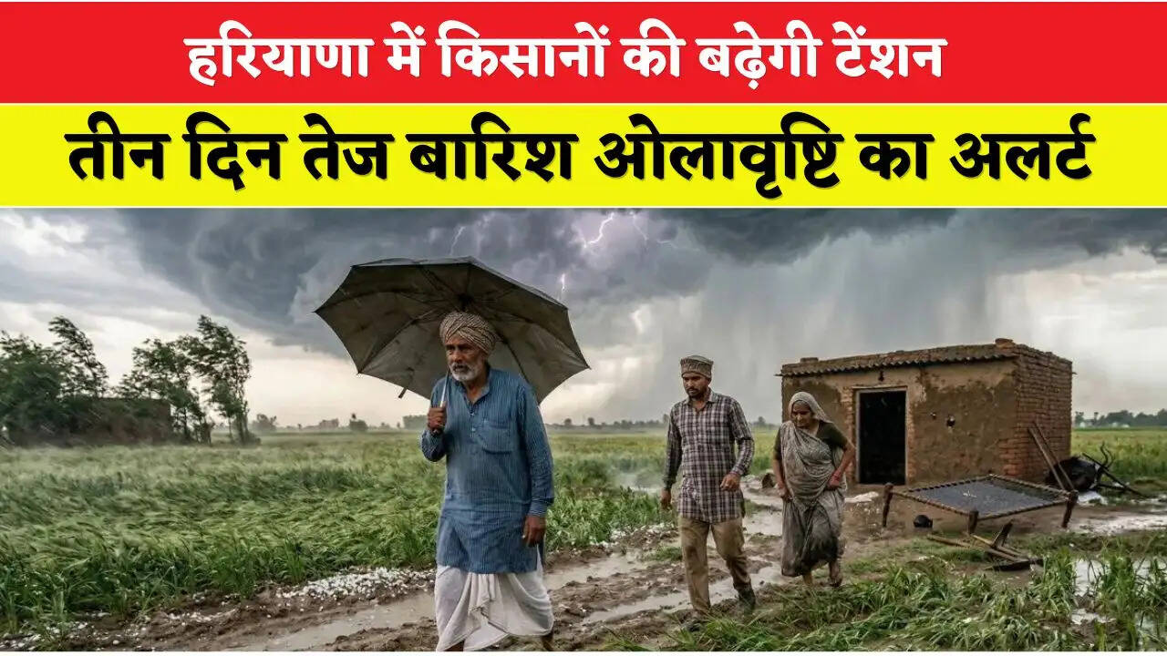 Haryana Weather Alert: हरियाणा में किसानों की बढ़ेगी टेंशन, तीन दिन तेज बारिश ओलावृष्टि का अलर्ट