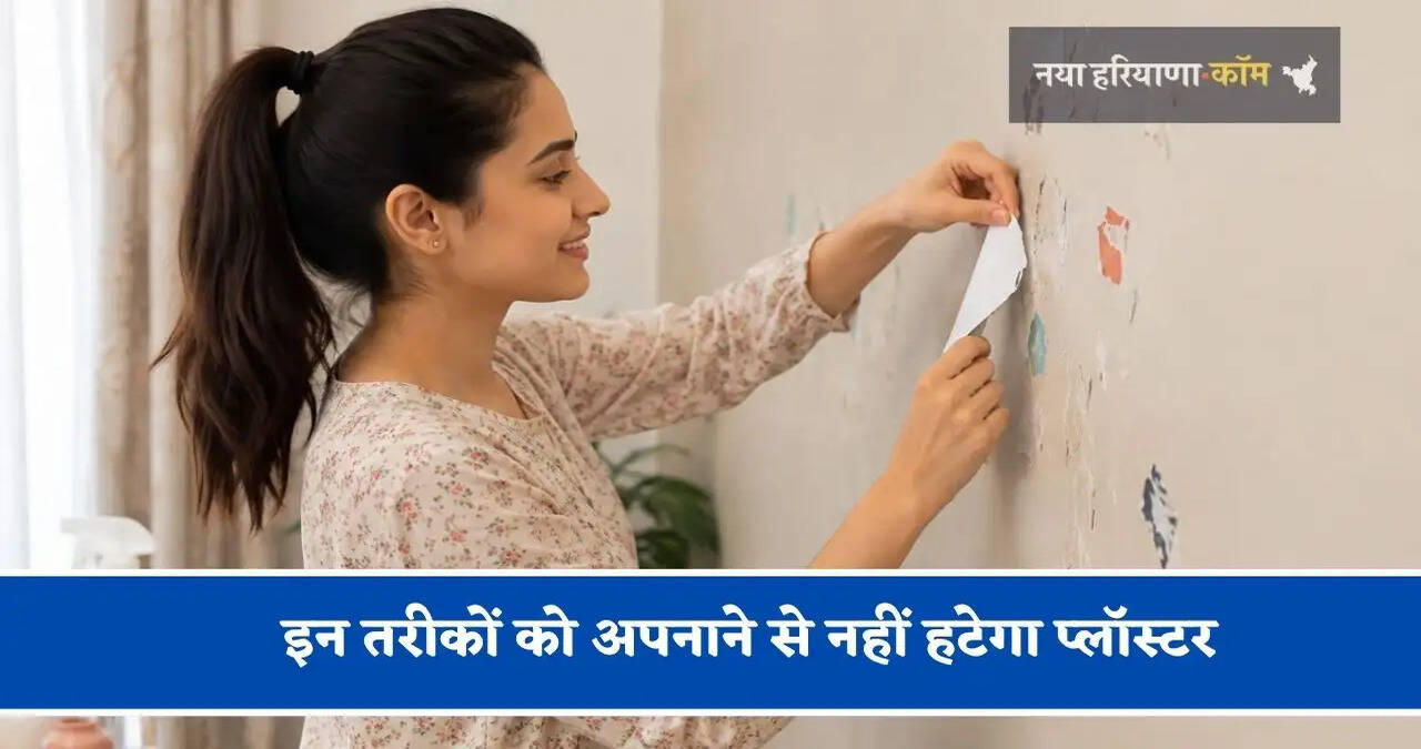 क्या आपकी दीवारों पर भी पुराने कैलेंडर या पोस्टर हटाते ही उखड़ जाता है पेंट, इन तरीकों को अपनाने से नहीं हटेगा प्लॉस्टर&nbsp;