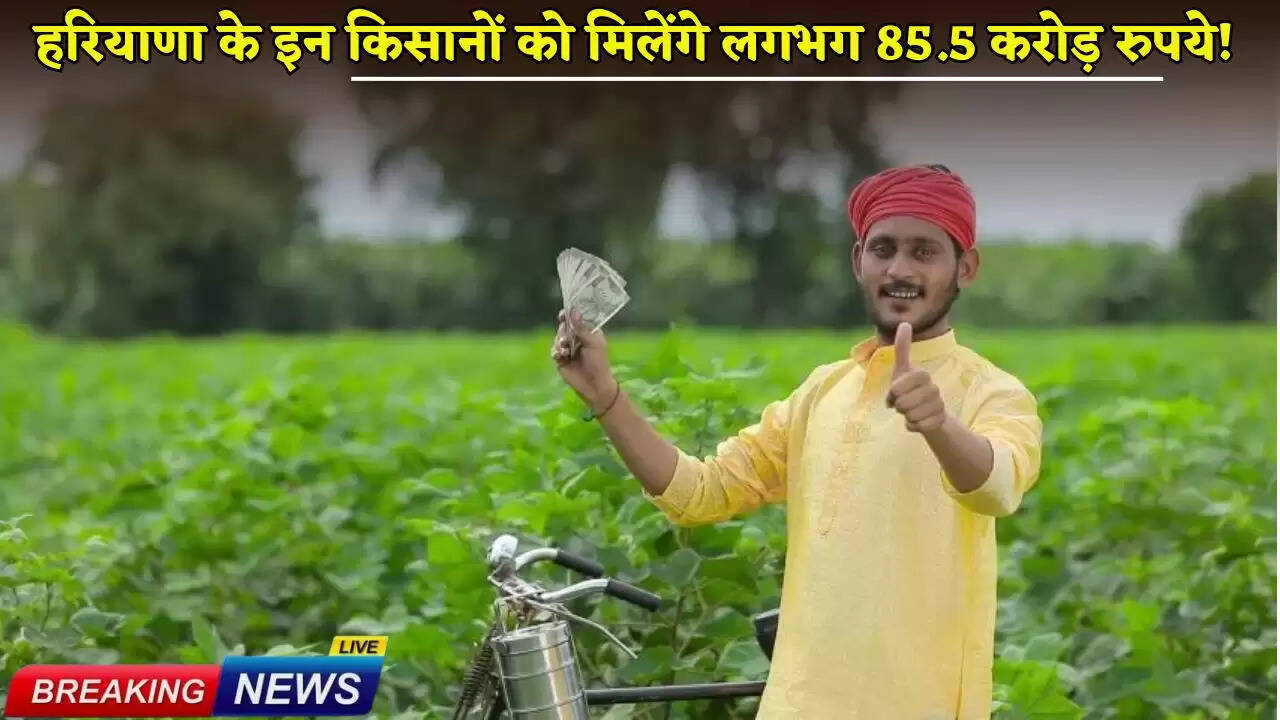 These farmers of Haryana will get approximately Rs 85.5 crore!
