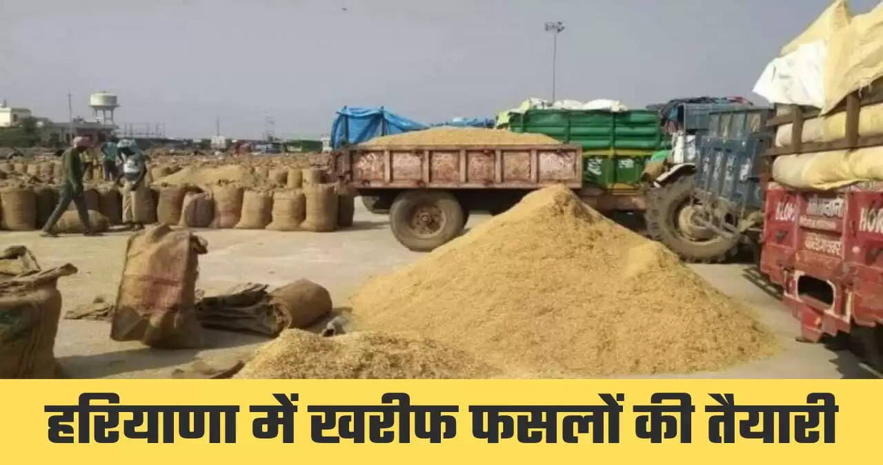 हरियाणा में खरीफ सीजन की फसलों की खरीद की तैयारियां शुरु, जानिये क्या है खरीफ फसलों का न्यूनतम समर्थन मूल्य  