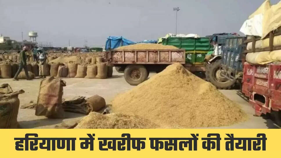 हरियाणा में खरीफ सीजन की फसलों की खरीद की तैयारियां शुरु, जानिये क्या है खरीफ फसलों का न्यूनतम समर्थन मूल्य