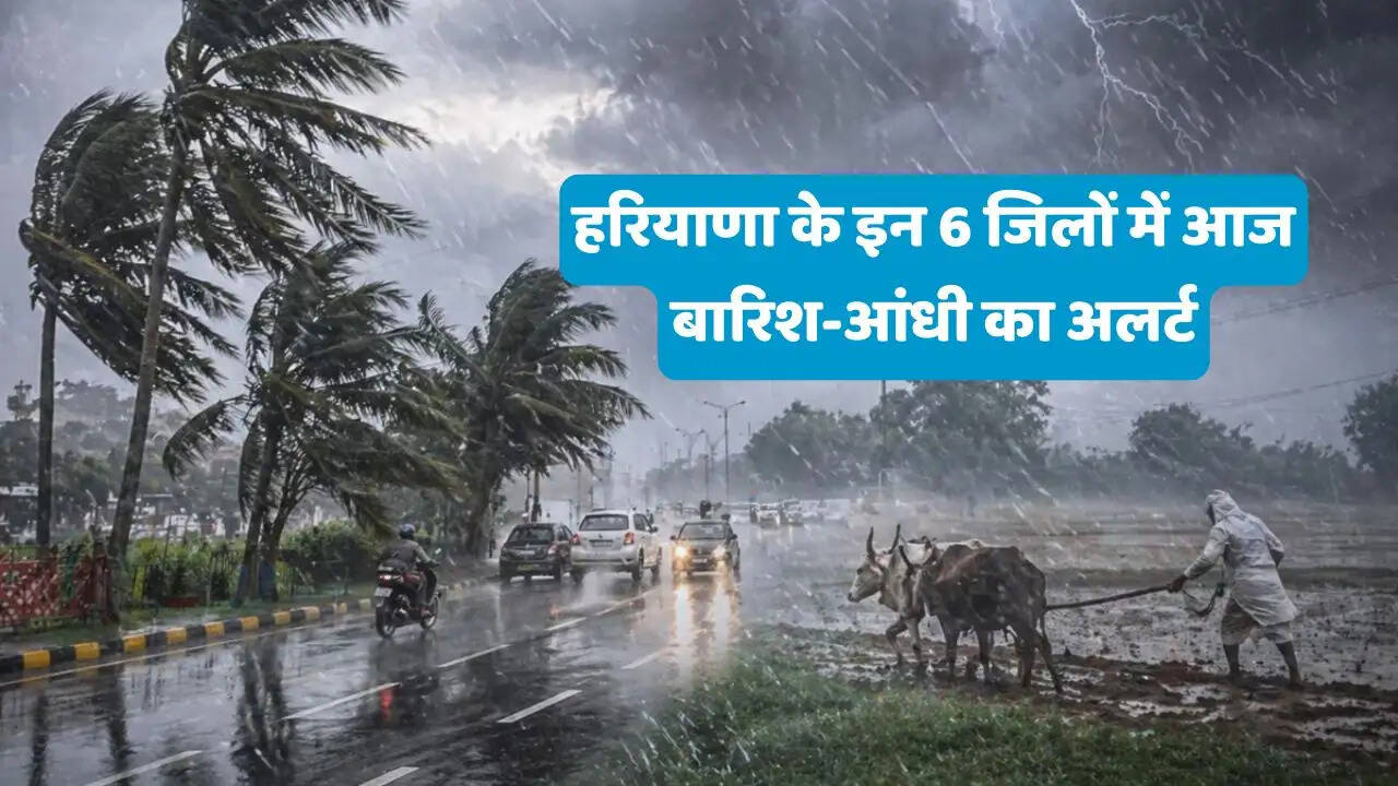 हरियाणा के इन 6 जिलों में आज बारिश-आंधी का अलर्ट, 2 मई से पश्चिमी विक्षोभ फिर होगा सक्रिय&nbsp;