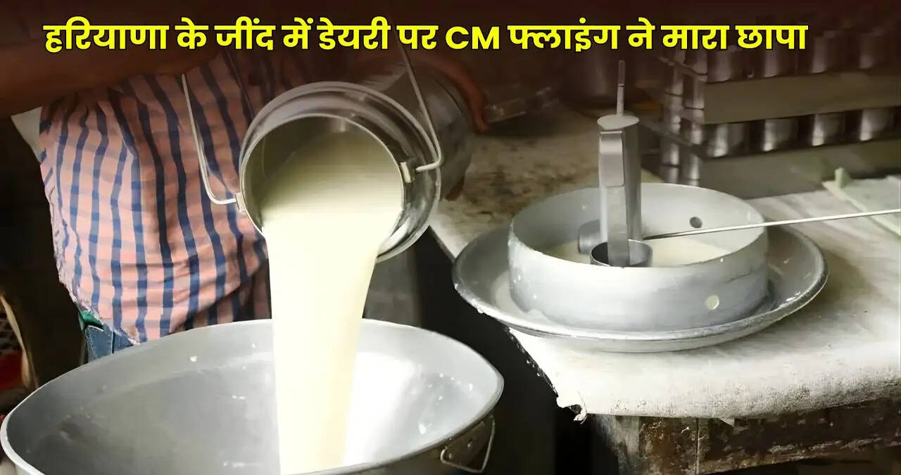 haryana news