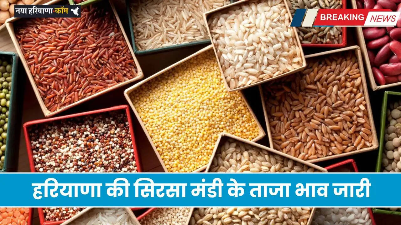Latest prices of Sirsa Mandi of Haryana released