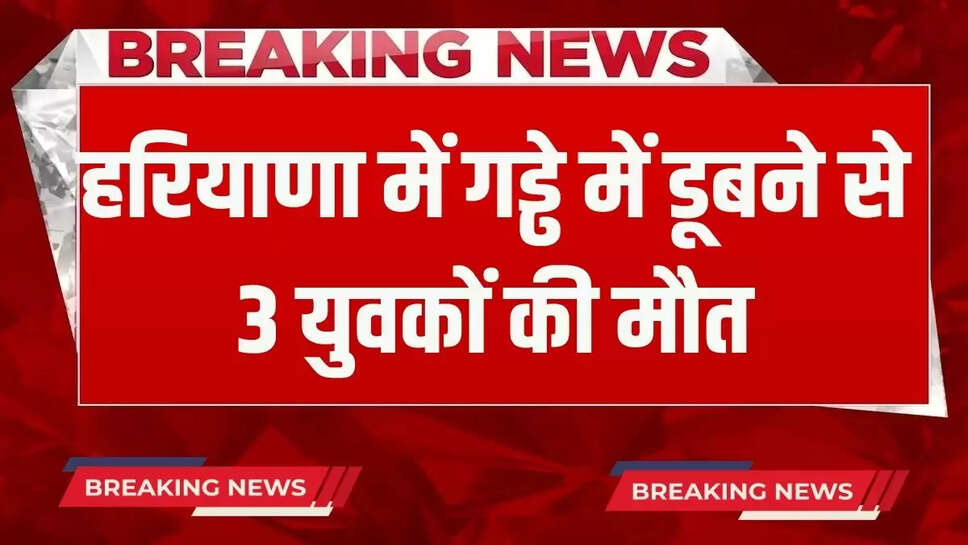 Haryana News: 3 youths died due to drowning in a pit in Haryana, accident happened due to slipping of feet