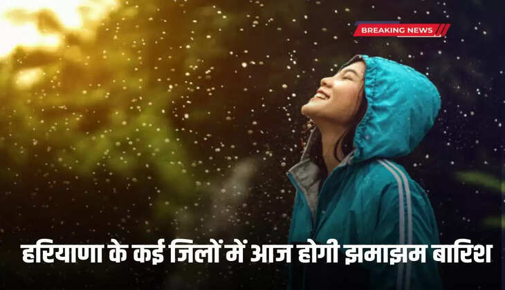 There will be heavy rain in many districts of Haryana today