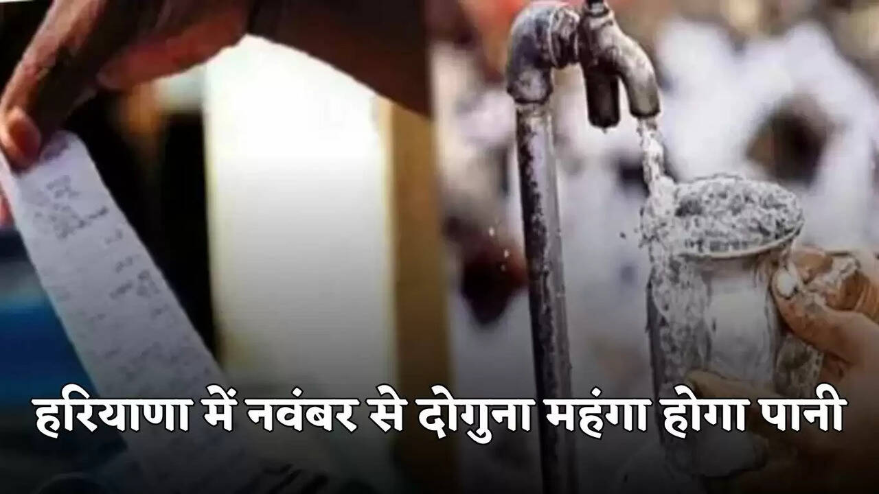 haryana news