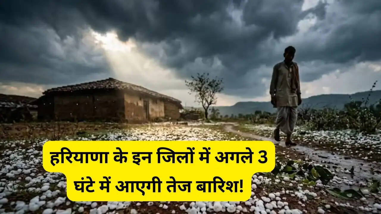 हरियाणा के इन जिलों में अगले 3 घंटे में आएगी तेज बारिश! IMD का अलर्ट