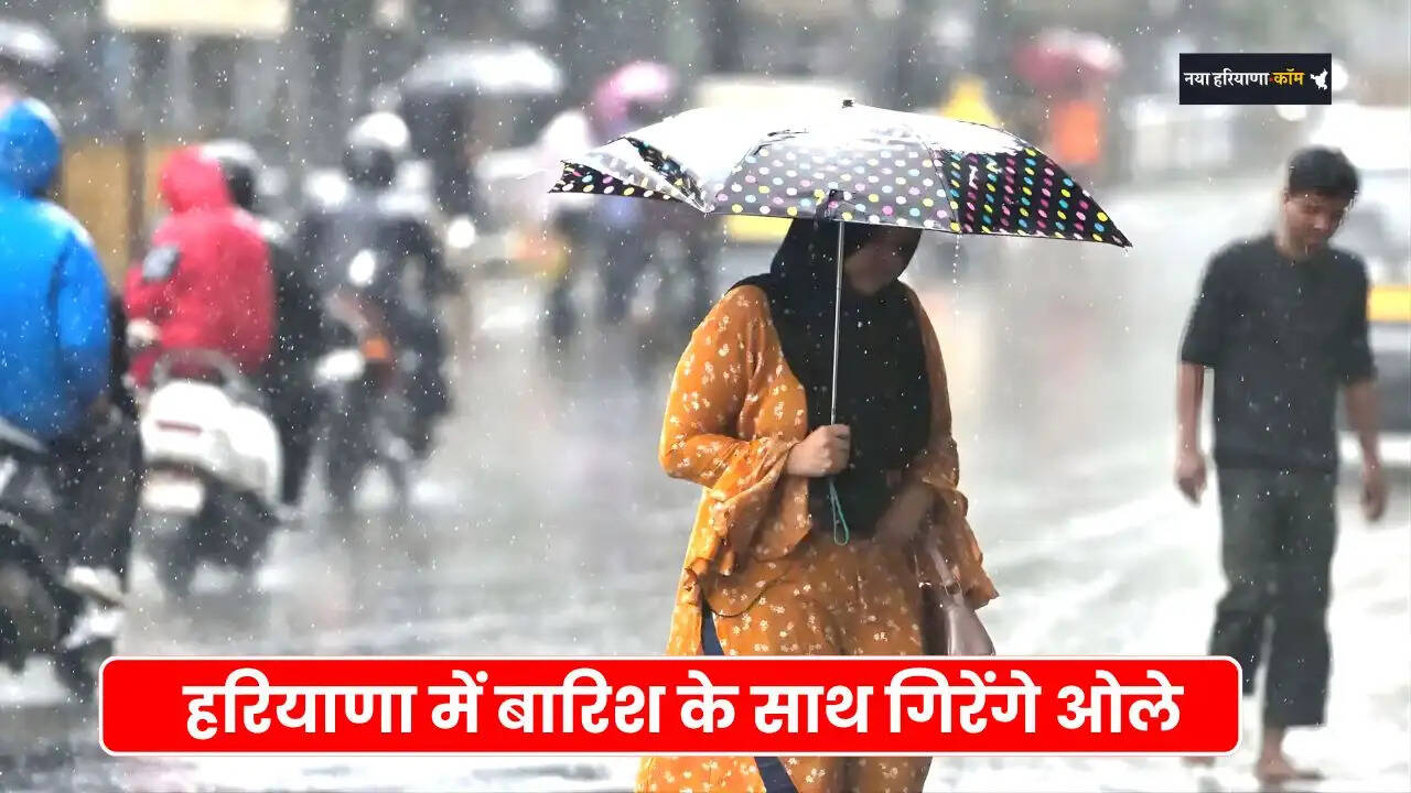 haryana weather update
