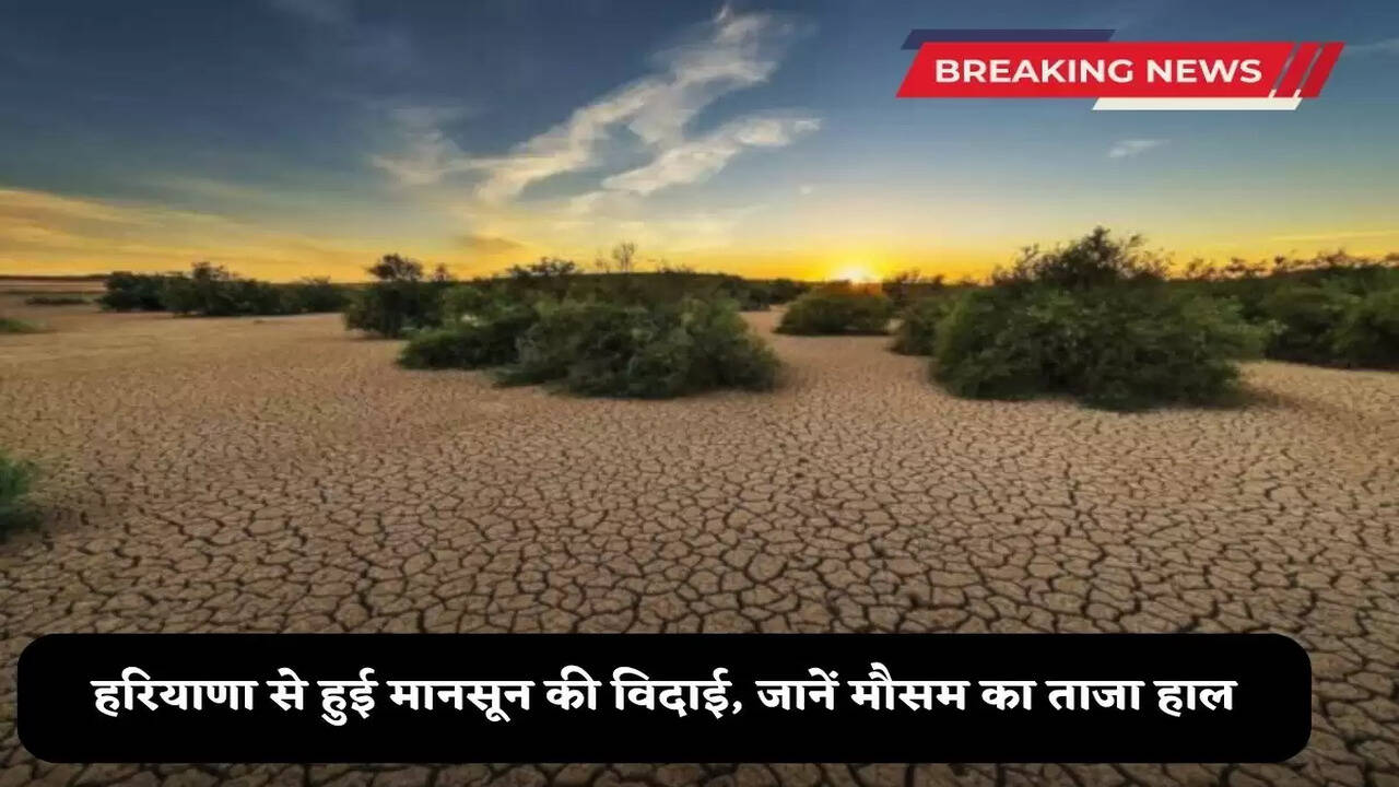 Haryana Weather update