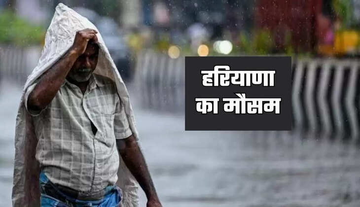 haryana weather