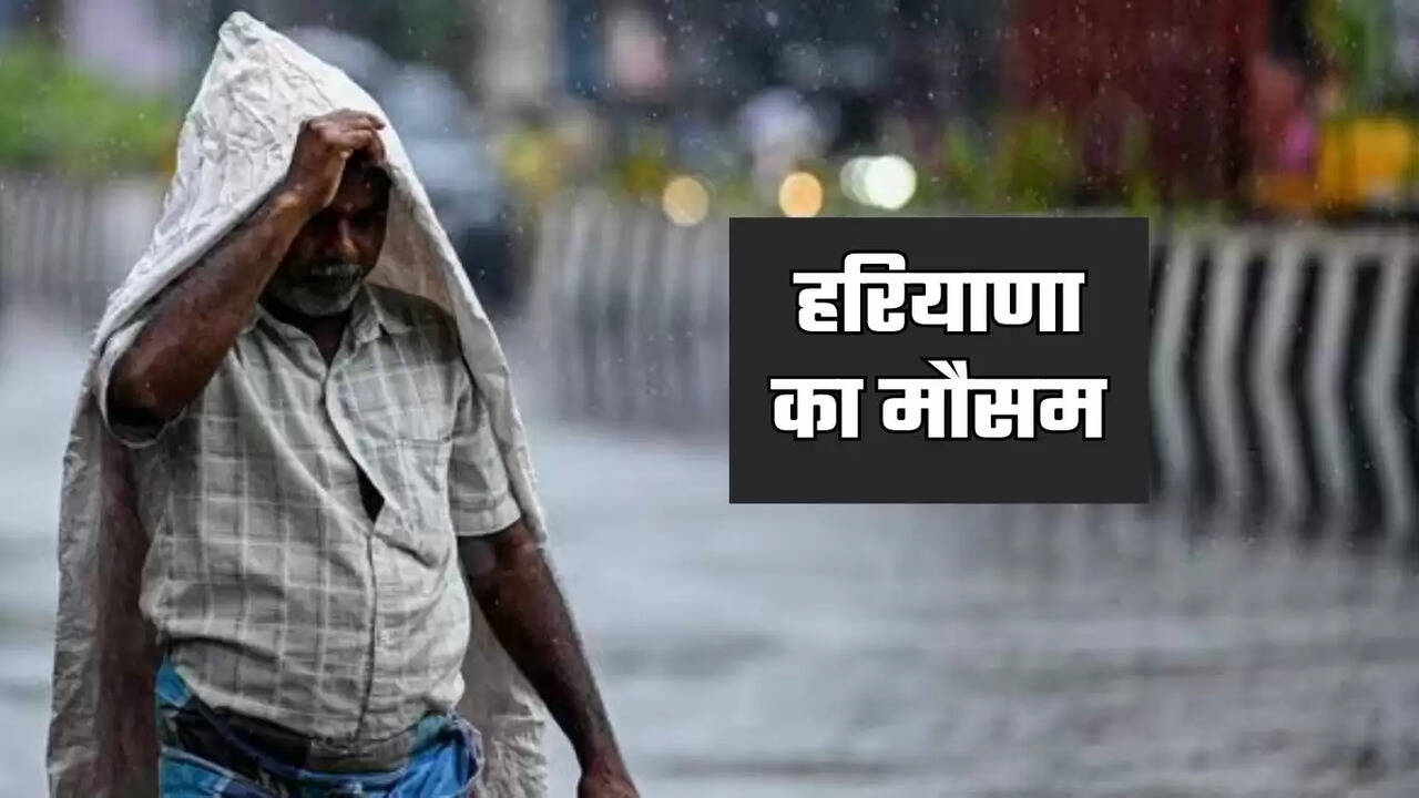 haryana weather