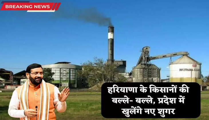 हरियाणा के किसानों की बल्ले- बल्ले, प्रदेश में खुलेंगे नए शुगर मिल, सरकार जल्द करेगी ऐलान