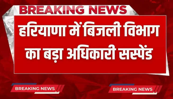 LDC of electricity department suspended