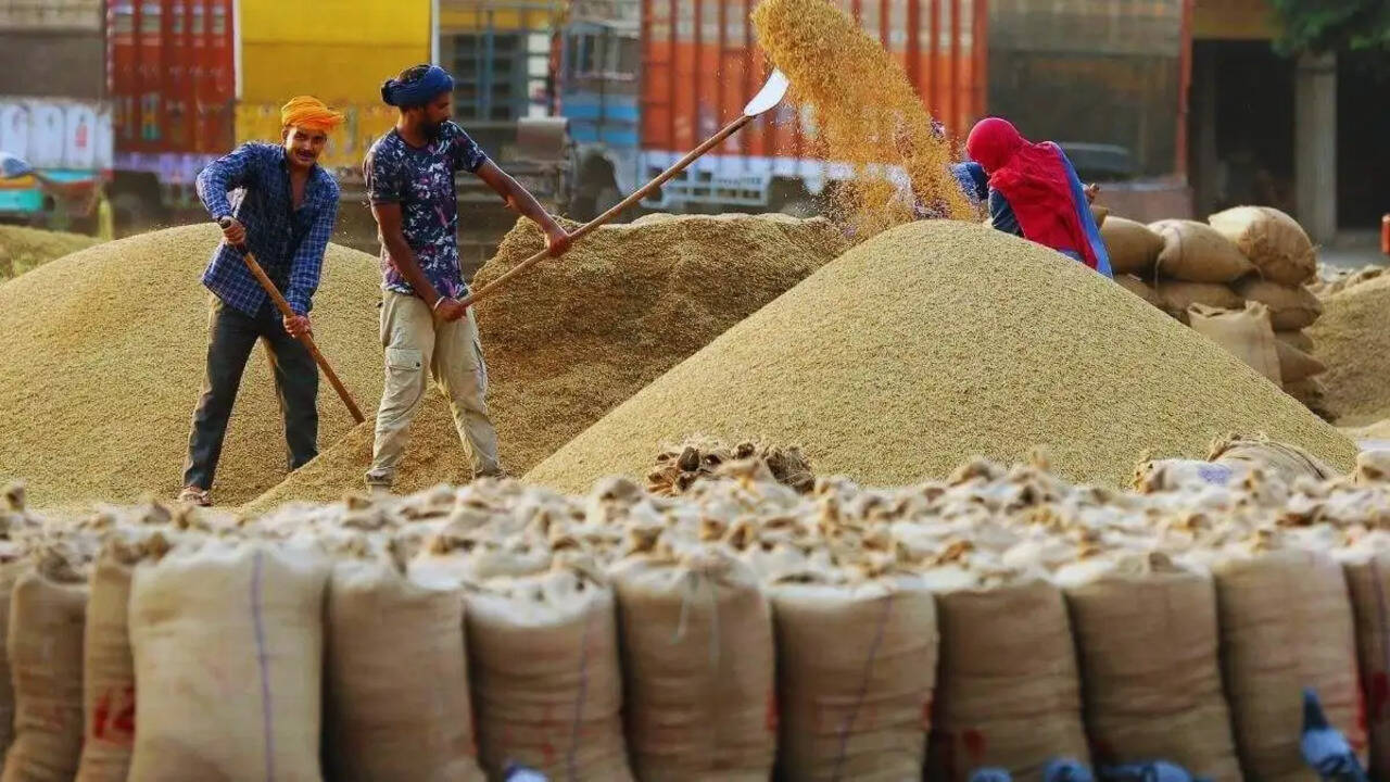 मंडी में फसल लाने से पहले नमी की मात्रा जरूर जांचे किसान, ताकि फसल बेचने में न हो परेशानी: डीएफएससी