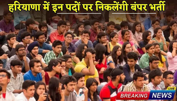Bumper recruitment will be done on these posts in Haryana
