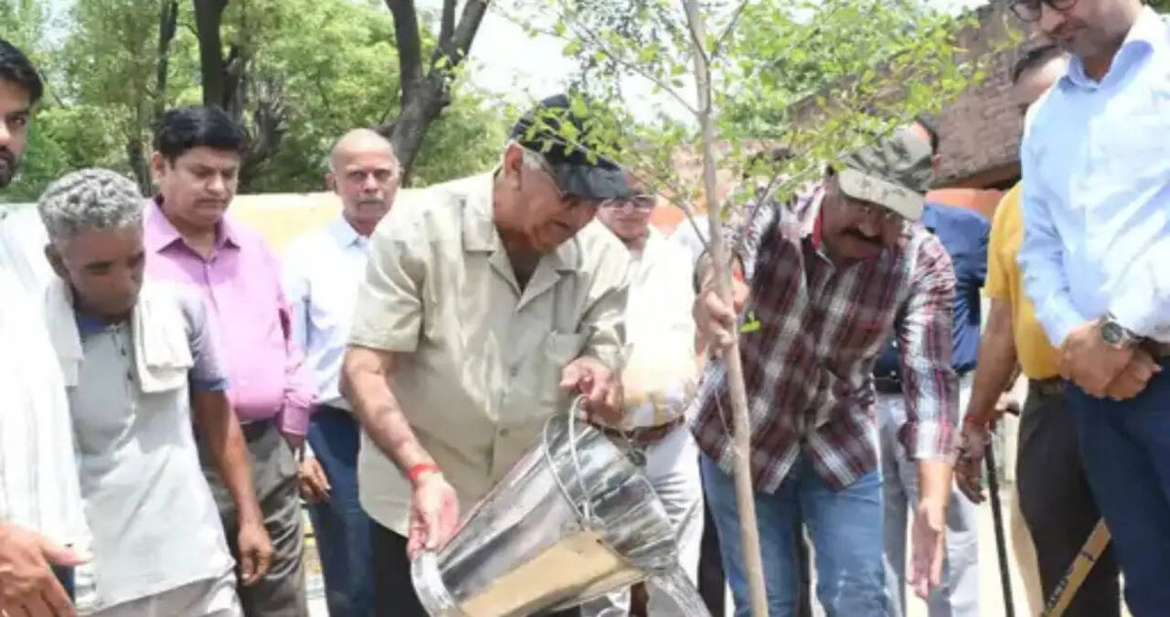 हिसार के गांव में लगाए गए 100 पौधे:ग्रामीणों ने लिया पर्यावरण संरक्षण का संकल्प, सरपंच ने की नियमित देखभाल की अपील