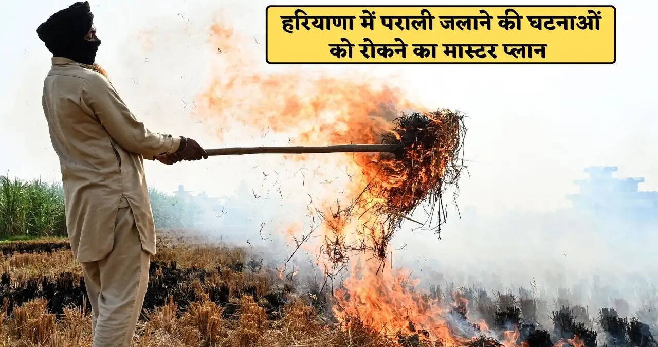 हरियाणा में पराली जलाने की घटनाओं को रोकने का मास्टर प्लान, 78 बड़ी एवं मध्यम यांत्रिक रोड स्वीपिंग मशीनें तैनात