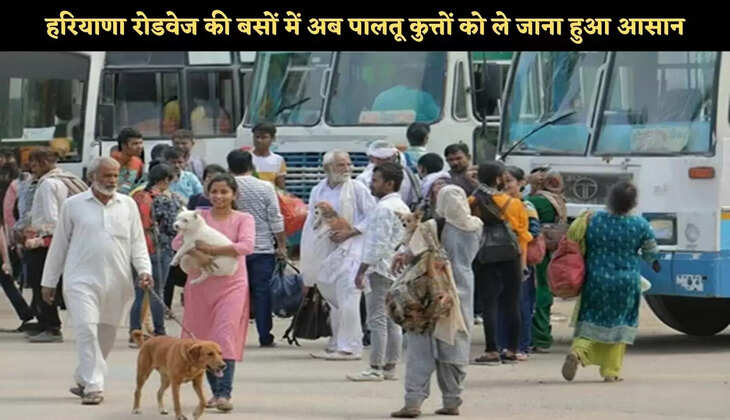 haryana roadways