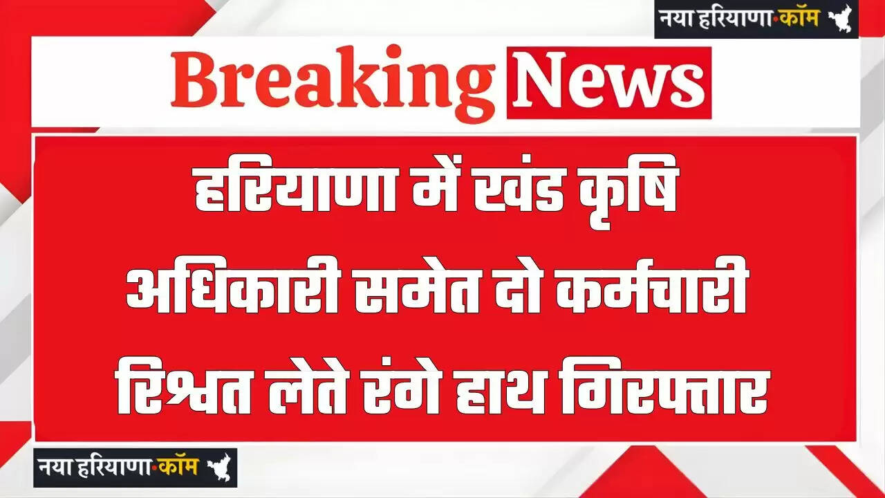 हरियाणा में भ्रष्टाचार पर बड़ी कार्रवाई, खंड कृषि अधिकारी समेत दो कर्मचारी रिश्वत लेते रंगे हाथ गिरफ्तार