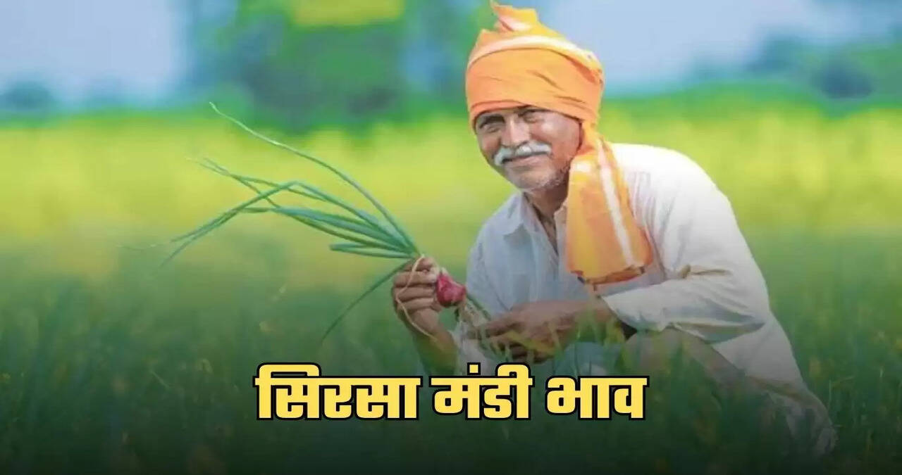 mandi bhav