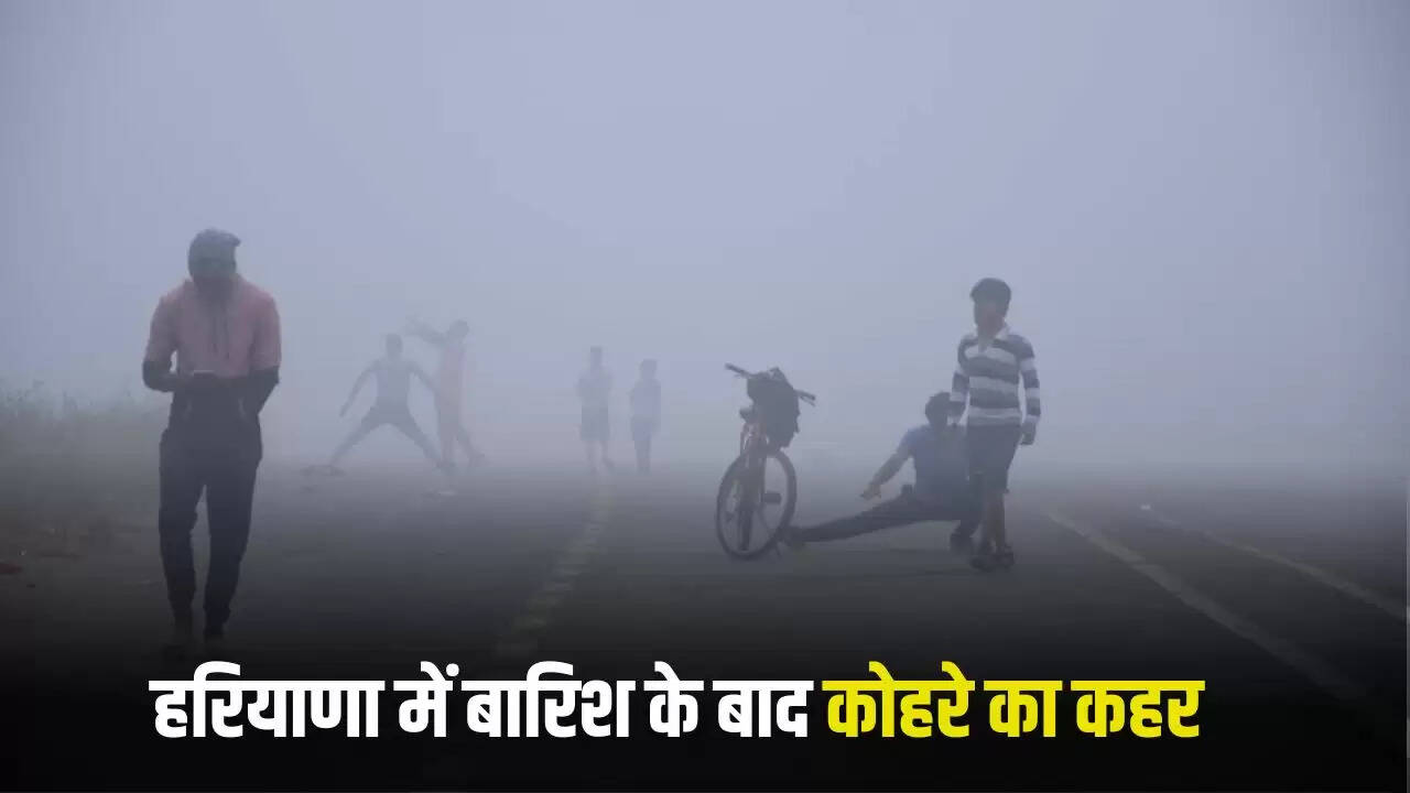 Haryana Fog Alert