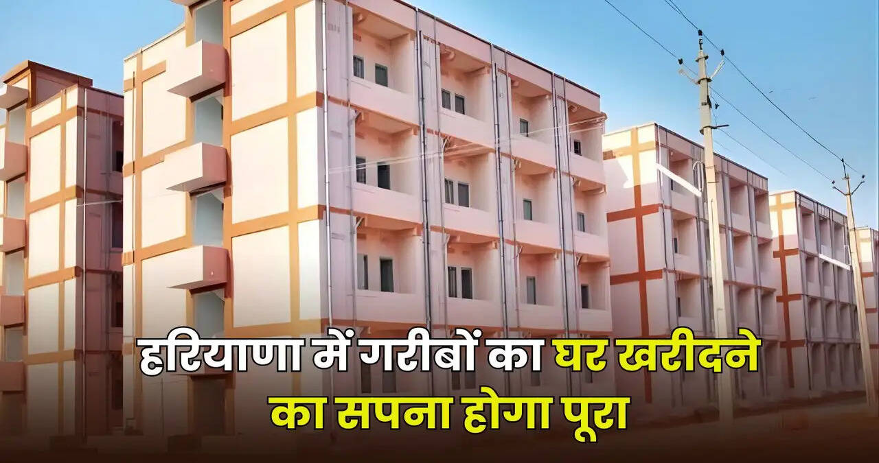 Haryana news