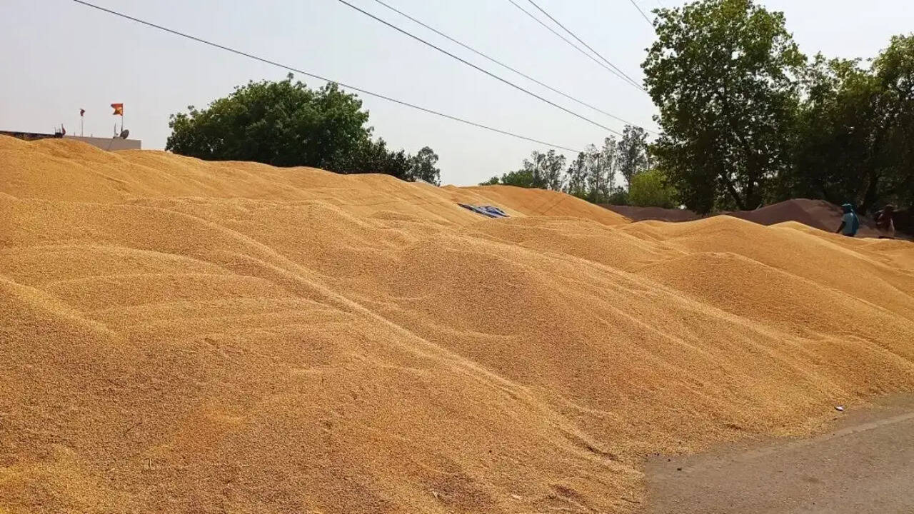 &nbsp;जिला की मंडियों में &nbsp;अब तक 70 हजार 150 मीट्रिक टन गेहूँ तथा तीन सौ छ: मीट्रिक टन सरसों की आवक दर्ज