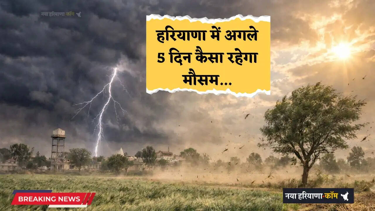 Haryana Weather: हरियाणा में पश्चिमी विक्षोभ सक्रिय; अगले 5 दिन कैसा रहेगा मौसम, कब होगी बरसात ?