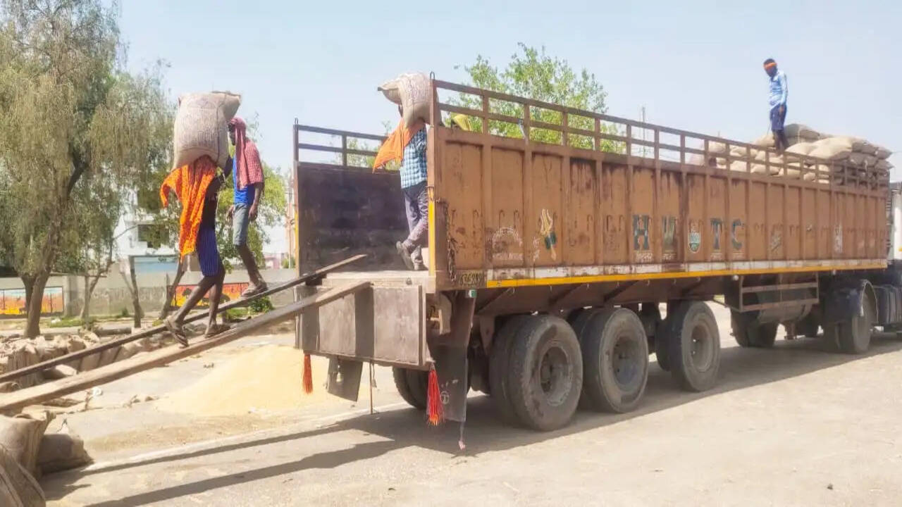 जिला की मंडियों में अब तक 2 लाख 37 हजार 746 मीट्रिक टन गेहूं की आवक दर्ज
