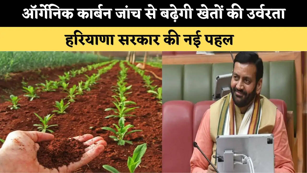 ऑर्गेनिक कार्बन जांच से बढ़ेगी खेतों की उर्वरता, हरियाणा सरकार की नई पहल&nbsp;