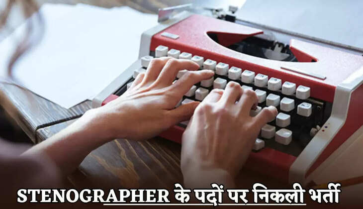 Recruitment has been announced for over 300 Stenographer positions.