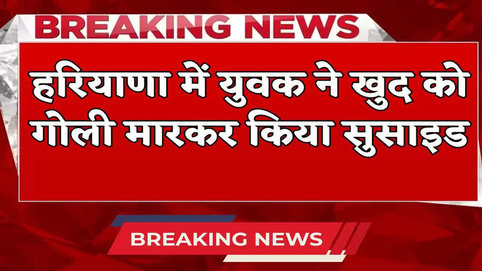 Haryana Rohtak Suice