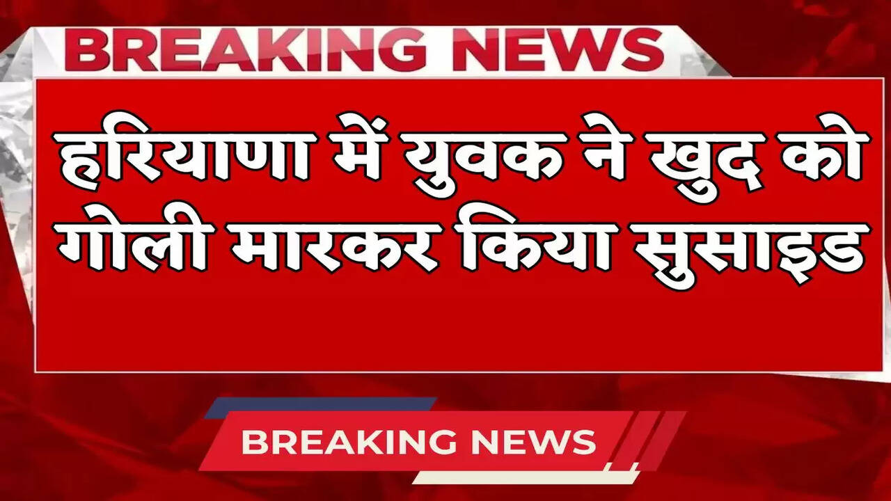 Haryana Rohtak Suice