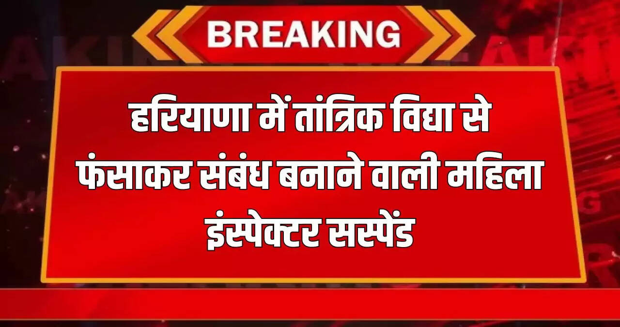 haryana news