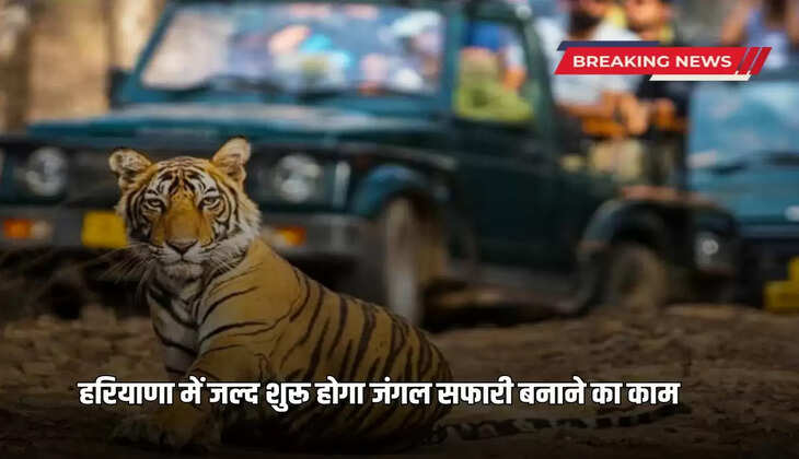 Work on making jungle safari will start soon in Haryana